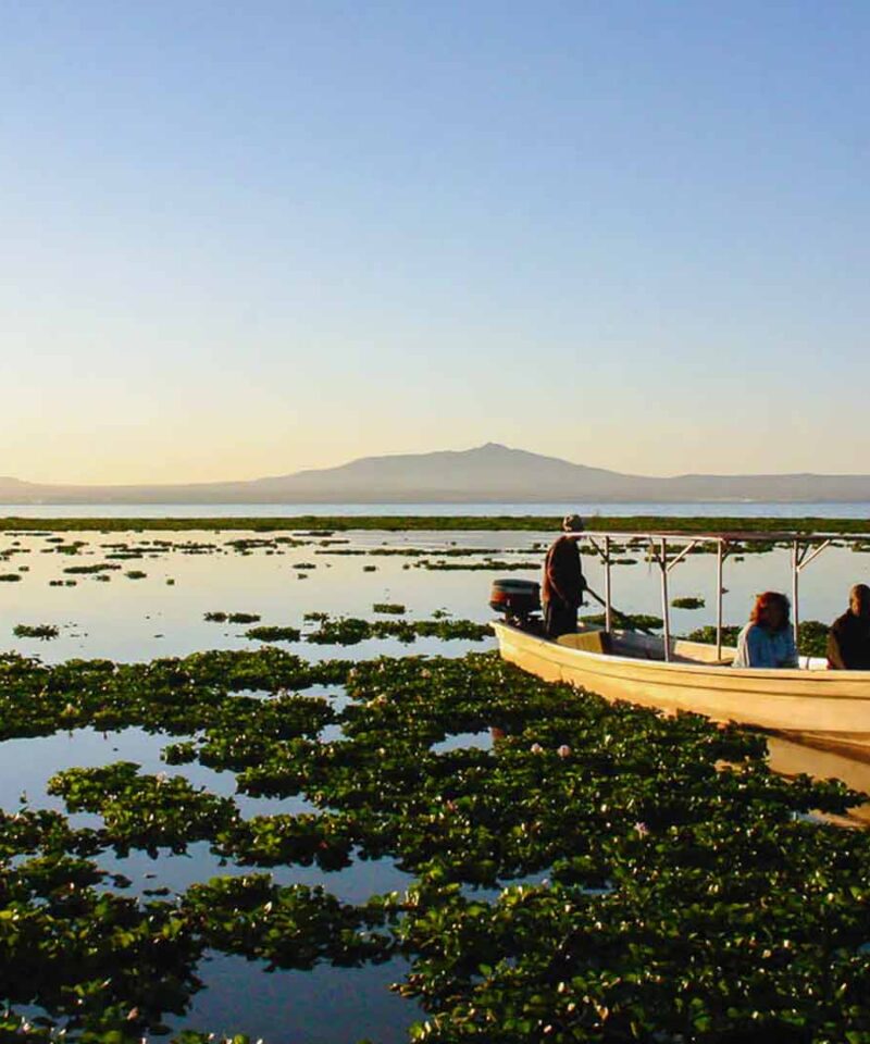Lake Naivasha