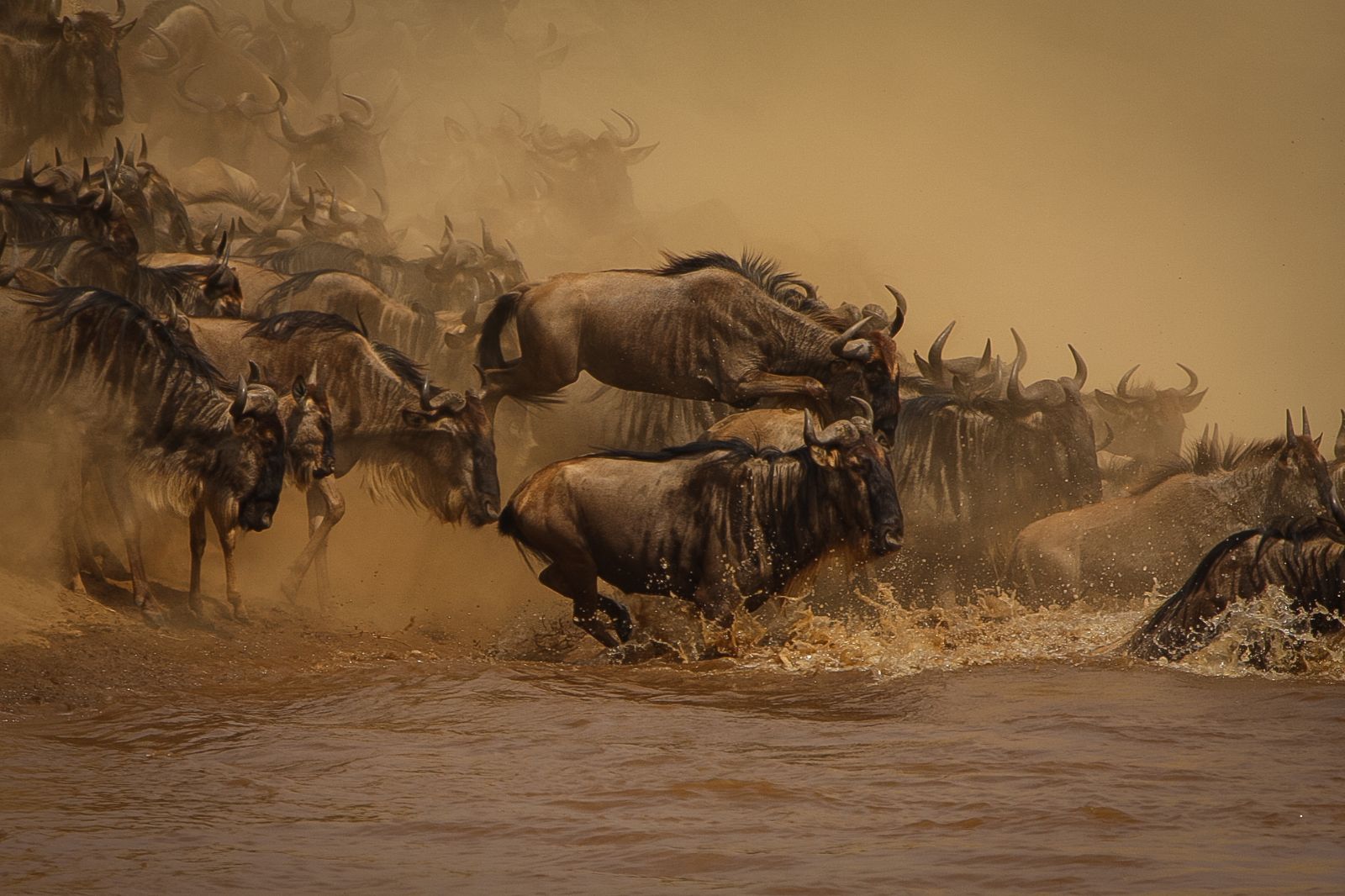 The Great Wildebeest Migration: Nature’s Greatest Show on Earth