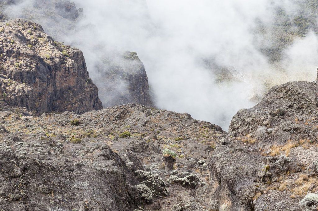 Kilimanjaro