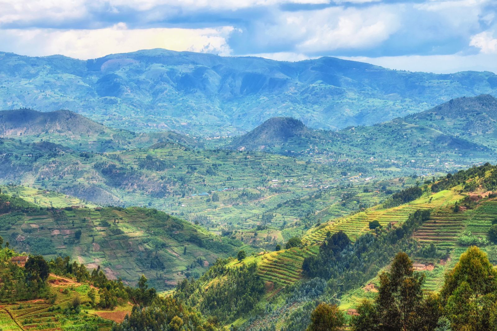 Experience gorilla trekking, volcano hikes, and cultural wonders in Rwanda’s national parks and vibrant highlands.